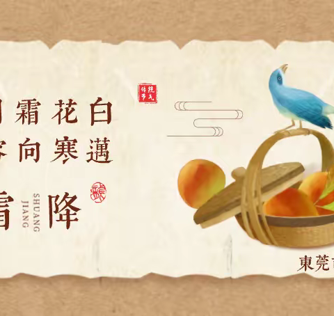 霜降｜人间霜花白，从容向寒迈——东莞市万江第六小学