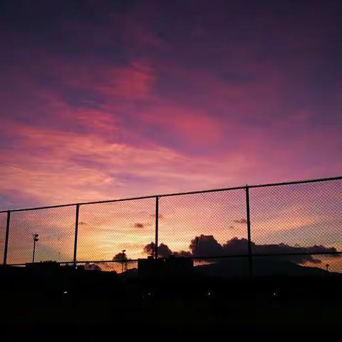 雨过天晴就是春一一白沙黎族自治县民族中学"停课不停教，不停学"活动简报(五)
