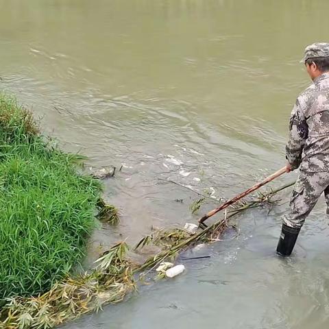 新阳镇开展常态化河道清理行动