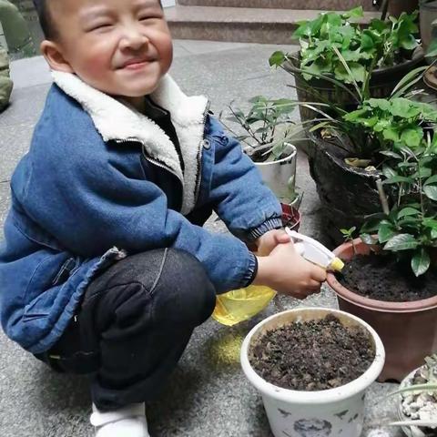 又是一年春来到，小卫士们植树忙！🌱🌱