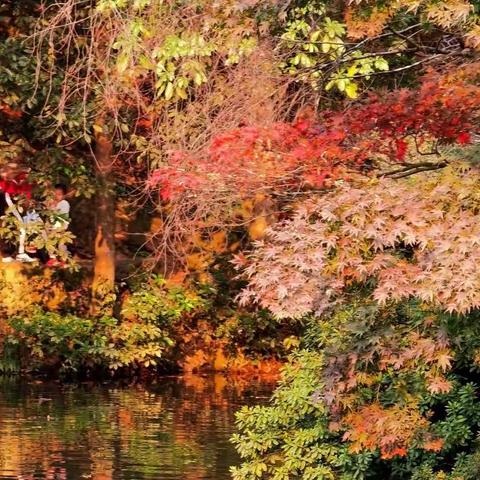 秋游华东（1）——杭州首日之旅