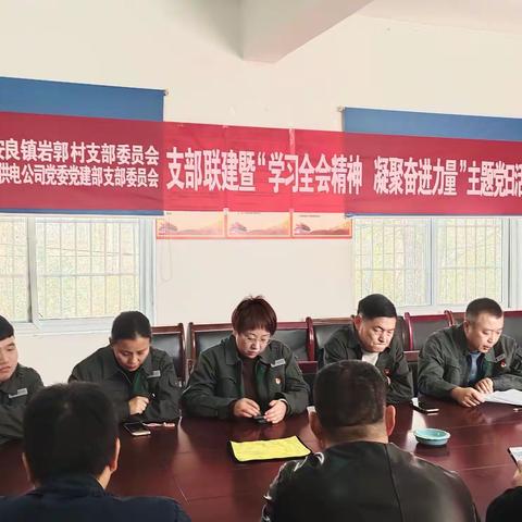 学习全会精神 凝聚奋进力量-岩郭村党支部主题党日活动纪实