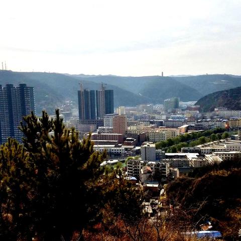 太子山的子弹壳