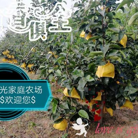 😊亲&们，动动你们发财的小手朋友圈转起来，巜阳光家庭农场》定于7月16号正式开园。☀️欢迎各位小主