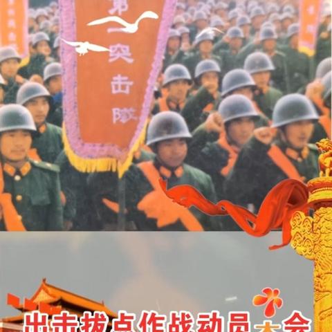 难忘的对越自卫反击战，八一建军节沈振华献给原201师炮团战友