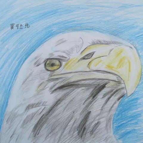 2020年金贝儿童美术班下学期作品汇报相册    ——l.j.z老师制作