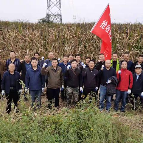 雨过天晴       抢收抢种不负好时光——咸阳市医药总公司深入田间地头帮助农户抢收抢种