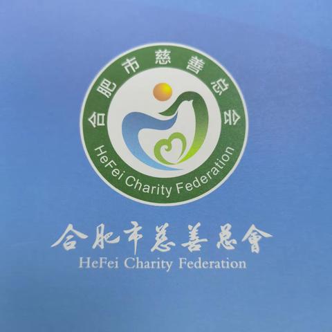 合肥市慈善总会2020年31个重点慈善项目