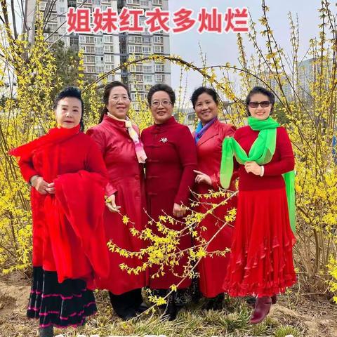 春暖花开欢迎李大姐的到来
