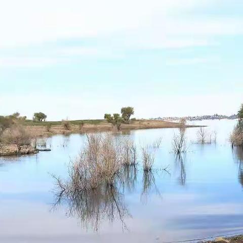 佛森湖 (Folsom Lake)