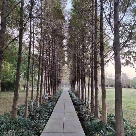 清晨（原创图文）