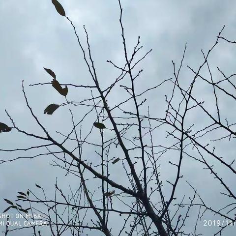 想一个人才孤独（原创图文）