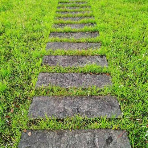 长长的路，慢慢地走（原创图文）