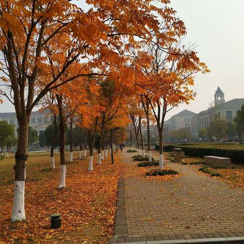 一同喝咖啡的人在哪？（原创图文）