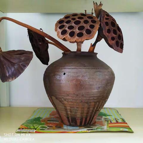 生活如书，活着如茶（原创图文）