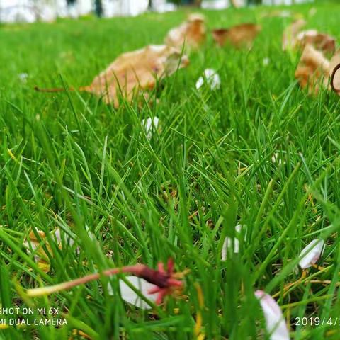 我在等风也在等你（原创图文）