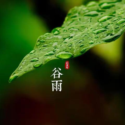 谷雨润万物，春光不可负——工行黄河五路支行组织“情系客户 饺香暖心”活动