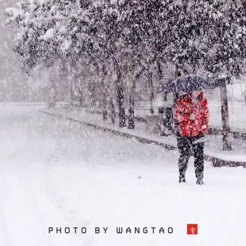 郑大医学院 · 初雪