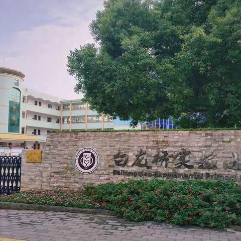 《浙中好课：指向科学素养的科学课》小学科学培训学习与心得