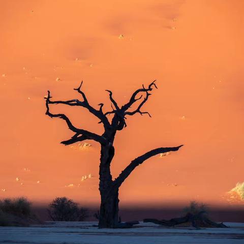 纳米比亚的壮丽之旅：与姐妹们同行的18天探险