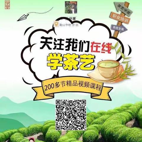 招募 |莫道茶事鞍山一壶春晓2019年6月 会员招募！