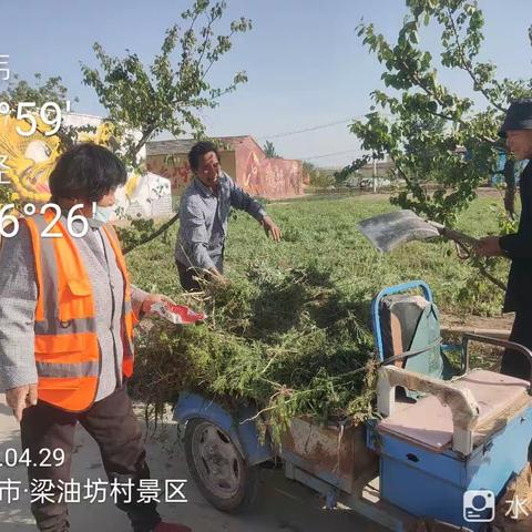 梁油坊村2023.4.29保洁员在景区清除杂草