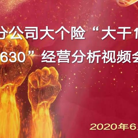 吐鲁番分公司大个险"大干15天 冲刺630"经营分析会