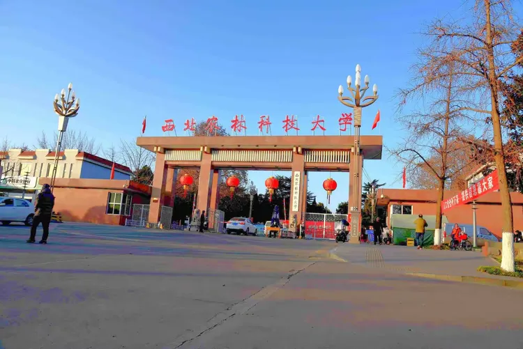 1934年,在武功成立了"国立西北农林专科学校",解放后,升级为"西北农