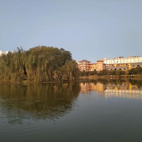 清晨，我在运动