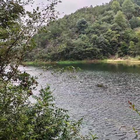 江东中学709开展寻红色古迹，踏八岭古道之行