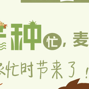 市中区农业农村局：聚焦三夏服务三农 强化调研促乡村振兴