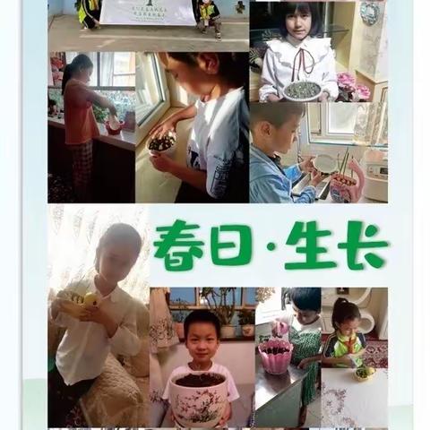 风好正是扬帆时，不待扬鞭自奋蹄—克州王波小学英语名师工作室“春日·生长”主题教研活动