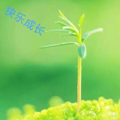 🌱初春相见  幼见美好🍭