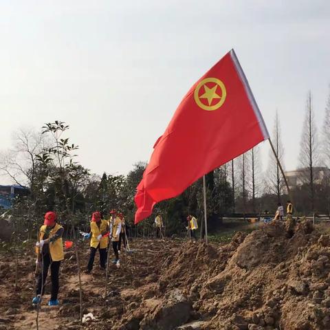 为打造绿水青山，尽一份绵力                             新奥燃气服务队