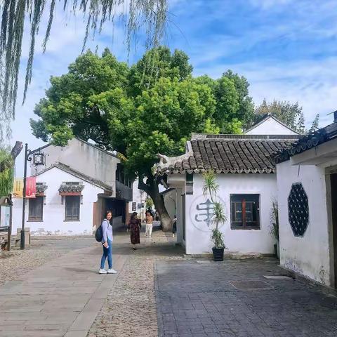 江南小记-苏州平江路