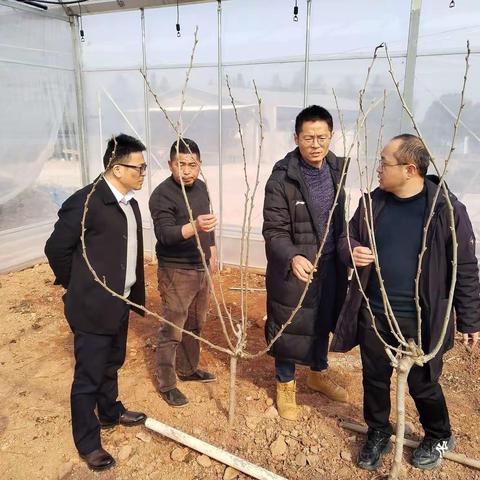 省农科院蚕桑所书记陈小龙一行走访东阳市画水镇君鑫家庭农场