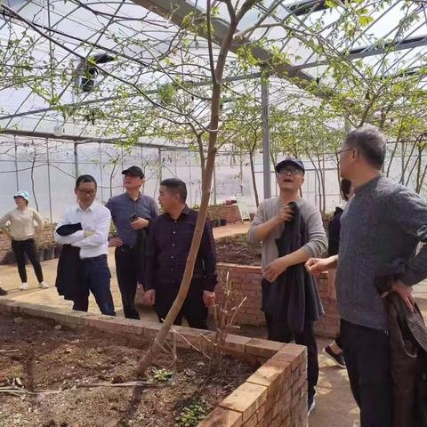 省蚕桑茶叶所沈国新教授带队考察金华市东阳市画水君鑫家庭农场果桑设施