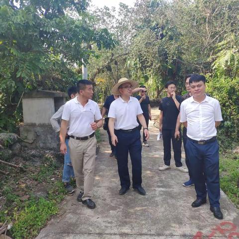 龙华区生态环境局积极推进农污治理项目与美丽乡村项目工作衔接