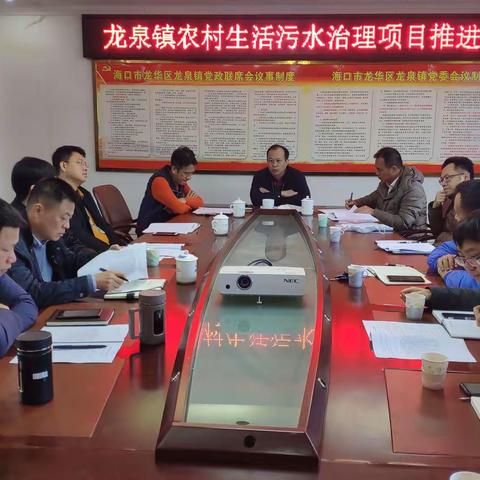 龙华区陈正参副区长前往龙泉镇主持农污治理项目推进专题会