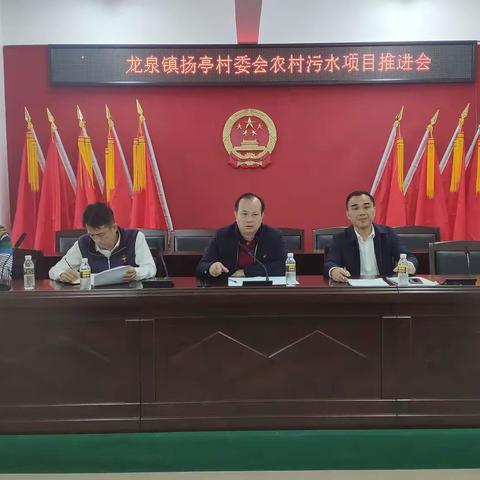 陈正参副区长前往龙泉镇扬亭村委会、美定村委会召开农污治理项目推进会