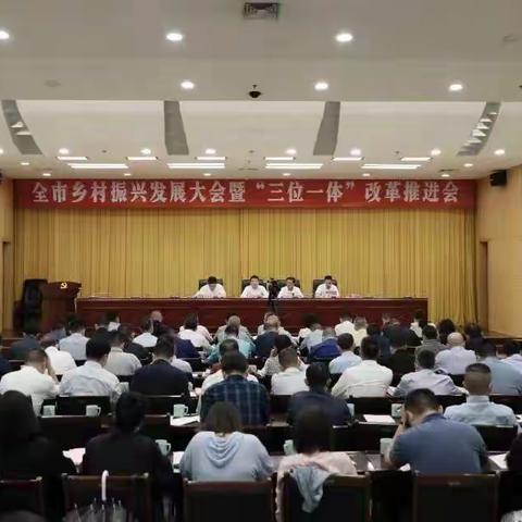 龙泉市乡村振兴发展大会暨“三位一体”改革推进会召开！龙泉市供销社围绕“三位一体”改革工作交流发言