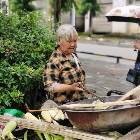 谋道重行   美美与共