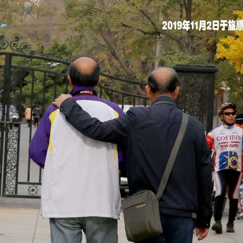 踏春抗疫樱花相约（相册）