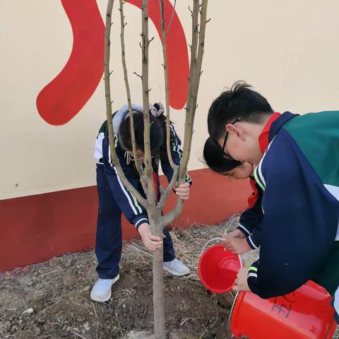 爱绿护绿，拥抱春天--永丰路小学植树节活动