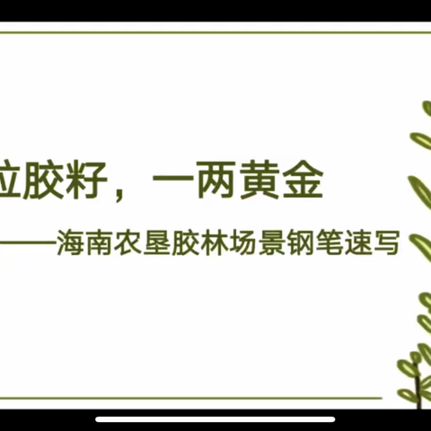 中学美术卓越教师工作室联合海南师范大学初高中美术教研协作共同体开展本土资源课程开发汇报第三次活动