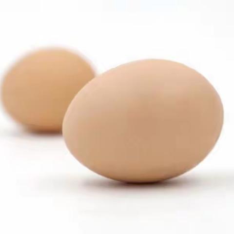 蒙城县第一幼儿园宅家助成长系列之奇妙科学篇《玩转蛋宝宝》