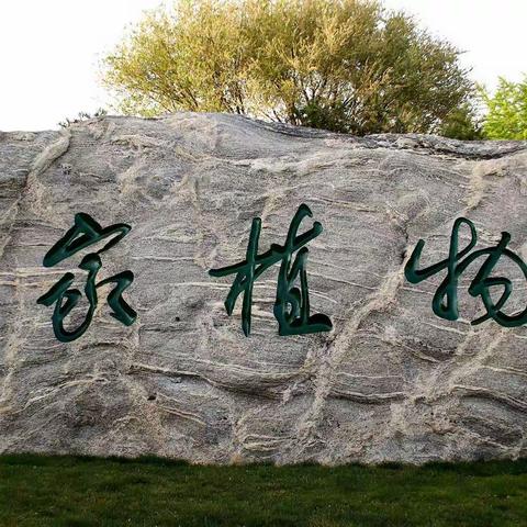 满树和娇烂漫红，万枝丹彩灼春融。