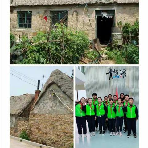 探秘生态鱼村的神奇之旅