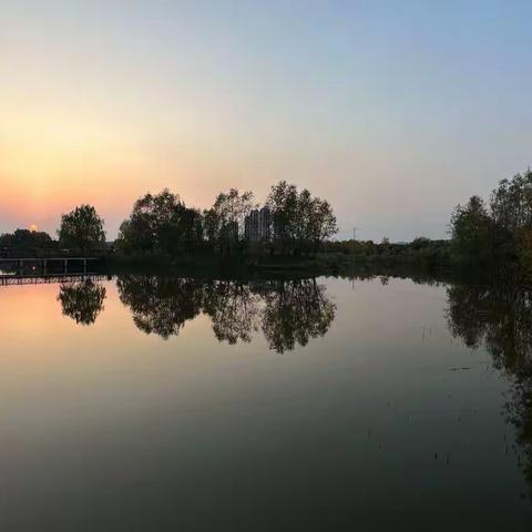 面朝大海 春暖花开 （15）                           —— 巢湖半岛国家湿地公园