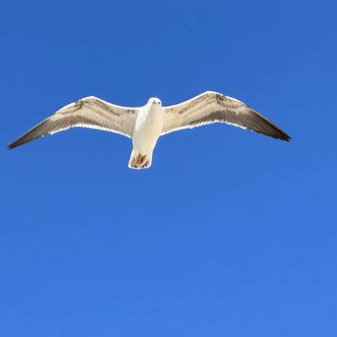 面朝大海 春暖花开 （26）—— 欧洲之旅 （10）